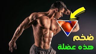 bodybuilding 2018 /تمارين لبناء البايسبس