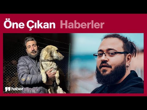 Video: Haftanın Pet Hack: Tımar ile Pet Pet Bakım