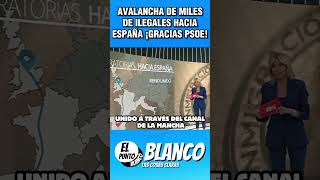 AVALANCHA DE ILEGALES DESDE TODA EUROPA GRACIAS A SANCHEZ...