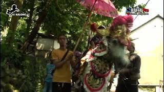 arak Arakan Kuda SIlat Si KALONG