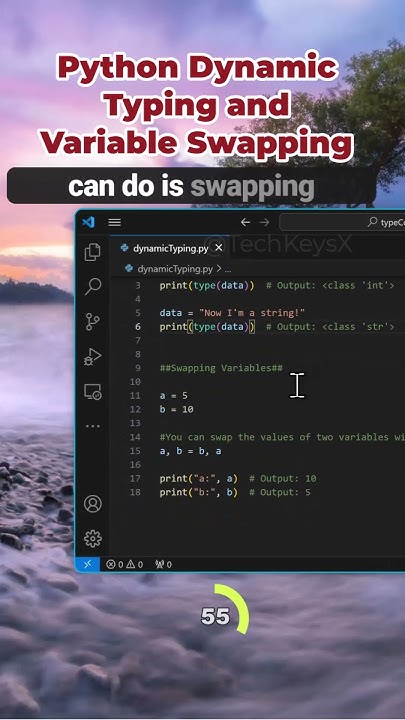 Python Dynamic Typing and Variable Swapping #softwaredevelopement # ...