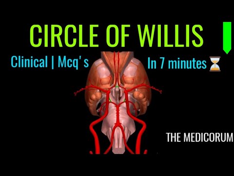 CIRCLE OF WILLIS 3D | BLOOD SUPPLY OF BRAIN | CLINICAL | MCQS - YouTube