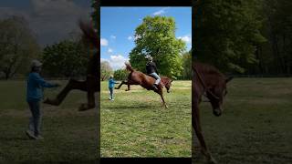 #Lol #Bareback #BitLess #Horses #FunnyHorses #LolHorses #HorseBarn #HorseRiding