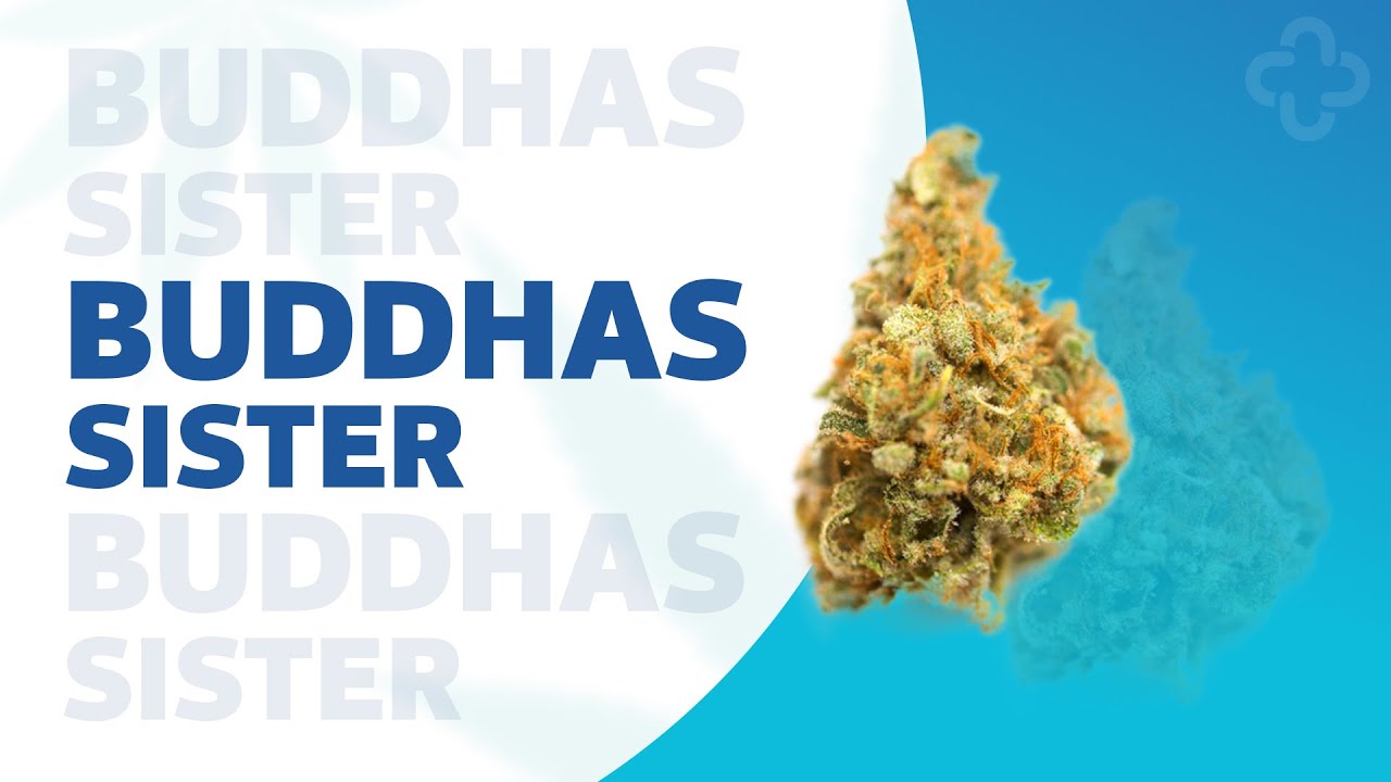 Buddha's Sister Strainview