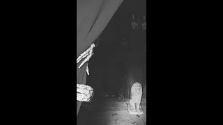 Now Hiring for Fright Fest!