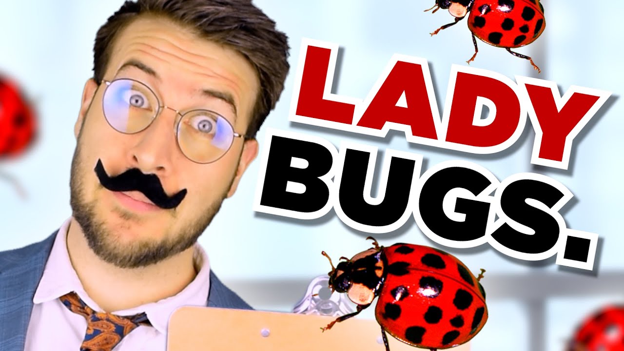 How Insects Got Their Names, on YouTube