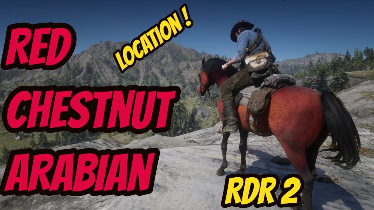 Red Chestnut Location ! Is It Good ?! Red Dead Redemption 2 PC - YouTube