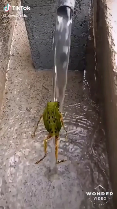 Cuando yo solo en casa Automáticamente mm yoo En la regadera Bañando con Bocina a todo Volumenconmus