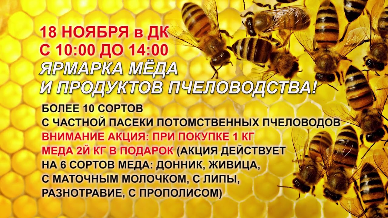 Магазин Пчеловодство Часы Работы