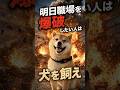 明日職場を爆破したい人は犬を飼え