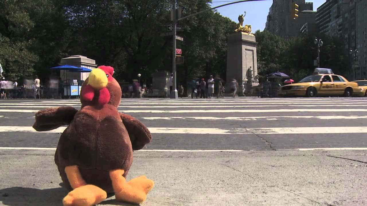 Meet the Music! Tough Turkey in the Big City