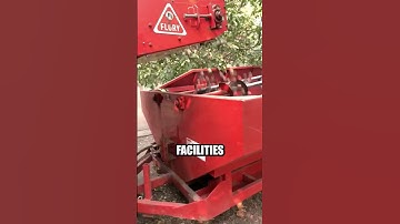 Did you know the intricate process of walnut farming? 🌳🌰✨"#Agriculture #Farming #Nuts #shorts #wow