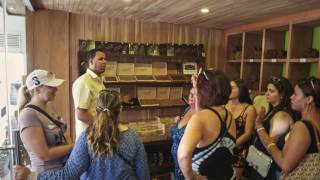 Espigon Cgars Puerto Plata