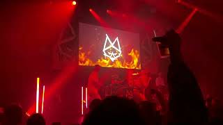 Antifuchs - Streitsucht - Live