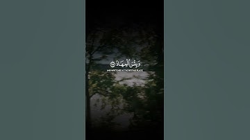 سورة ال عمران الآية 196-197-198