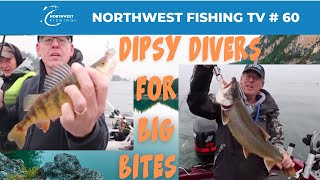 Mackinaw with Dipsy Divers & Lake Washington Winter Perch | Northwest Fishing TV #60