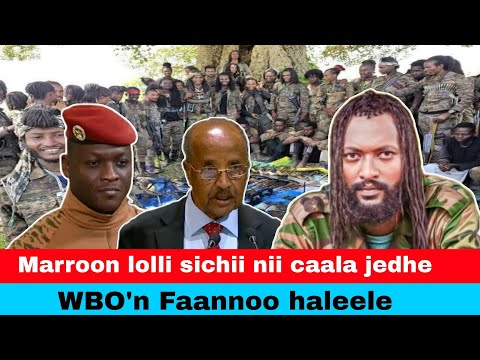 Oduu Jaal Marroon Lola Hin Eegalle Of Ittisaa Jirra Jedhe