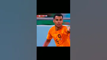 Messi 2022 World Cup Freed From Desire X Woops Edit Messi 