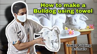 How to make a Bulldog using towel | Towel origami | Towel Folding Animals