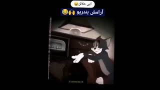 ارامش بندر