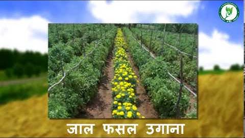 BIOLOGICAL CONTROL PART 1