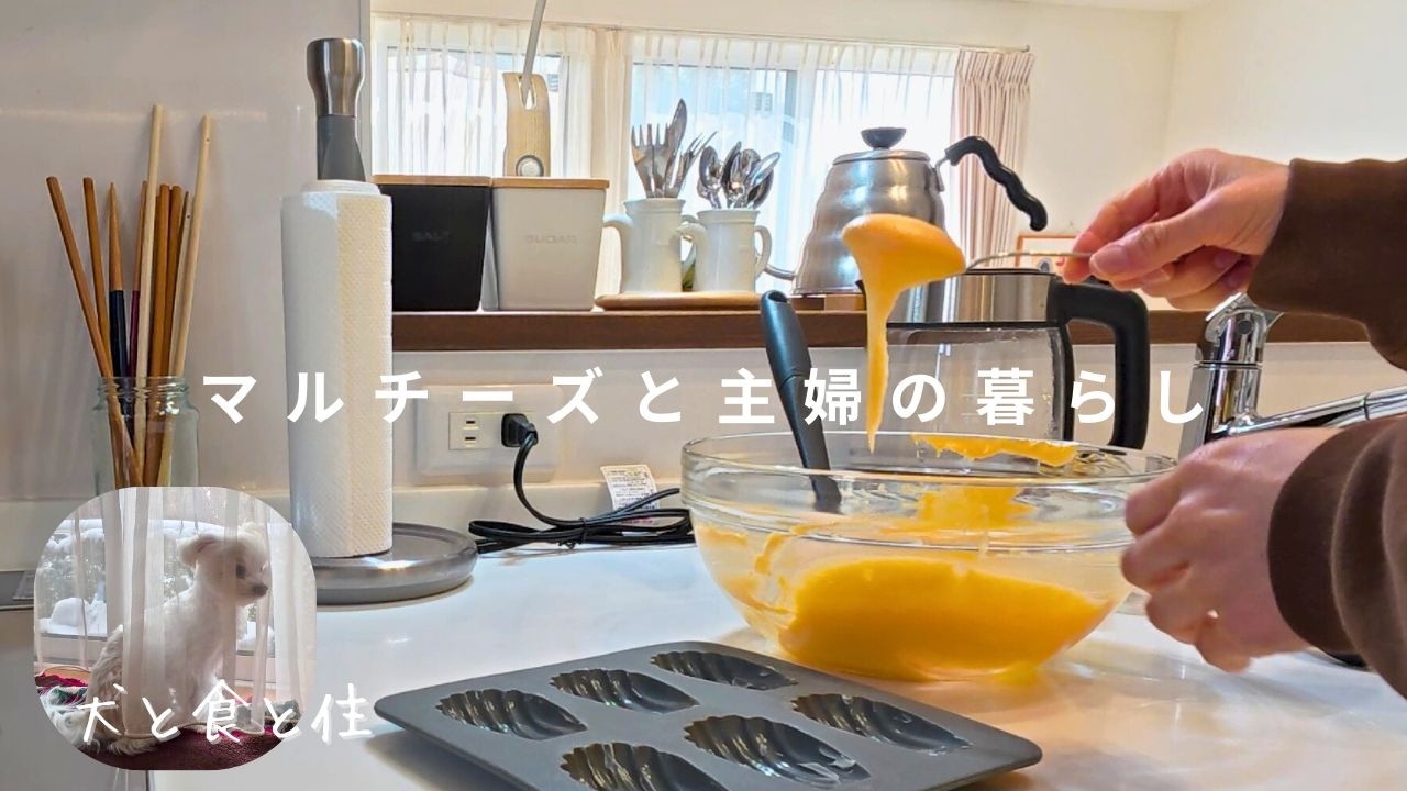 雪が降り積もった日のマルチーズと主婦の暮らし  |  お菓子作りと散歩で気持ちをリセット🪴
