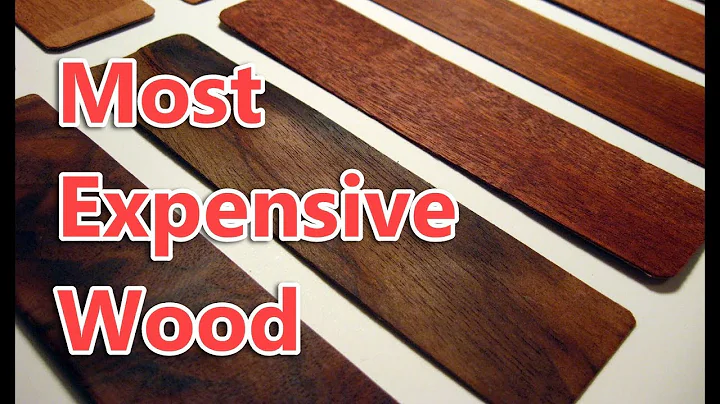 Top 10 Most Expensive Wood in the World - DayDayNews