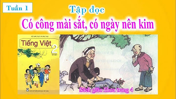 Có công mài sắt, có ngày nên kim | Tiếng Việt lớp 2 Tập 1 Tuần 1 Học tại nhà