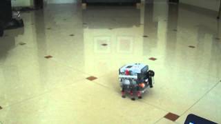 Lego mindstorms Robo insect