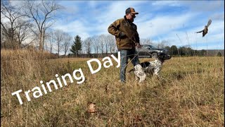 Training Day!  Net Worth