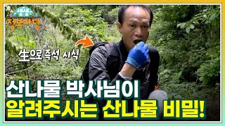 산나물 박사님이 알려주시는 40가지 산나물의 비밀! MBN 220525 방송