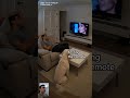 He didn’t like the noise… 😳📺 #Shorts #ViralPets #CaughtOnCamera