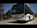 Hydrogen Fuel Cell Buses