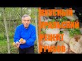 ВКУСНЫЙ УРАЛЬСКИЙ РЕЦЕПТ ПОДОСИНОВИКОВ!