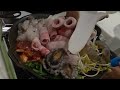 여수 낭만포차 32 해산물&소주 밤먹방 | Korea Street Food in Yeosu (Romantic Pocha 32)