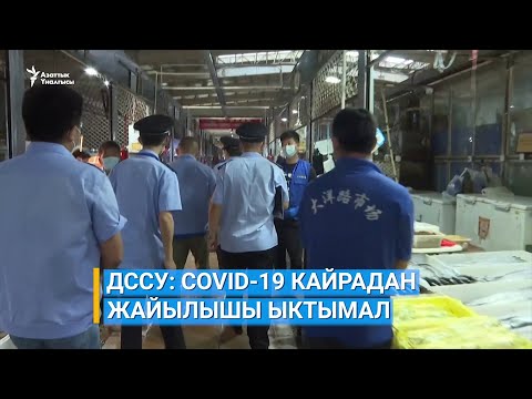 Video: Эл өкүлү коронавирусту текшерүүгө кеткен чыгымдардын ордун толтуруу идеясын жогору баалады