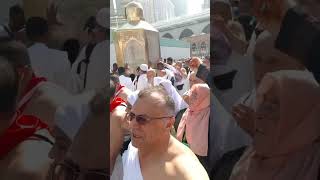 Yüce Dağlar Aşa Aşa