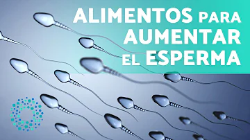 ¿Qué fruto seco produce esperma?