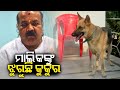 Pet dog of former mla maheswar mohanty waits for its dead owner to return  kalinga tv