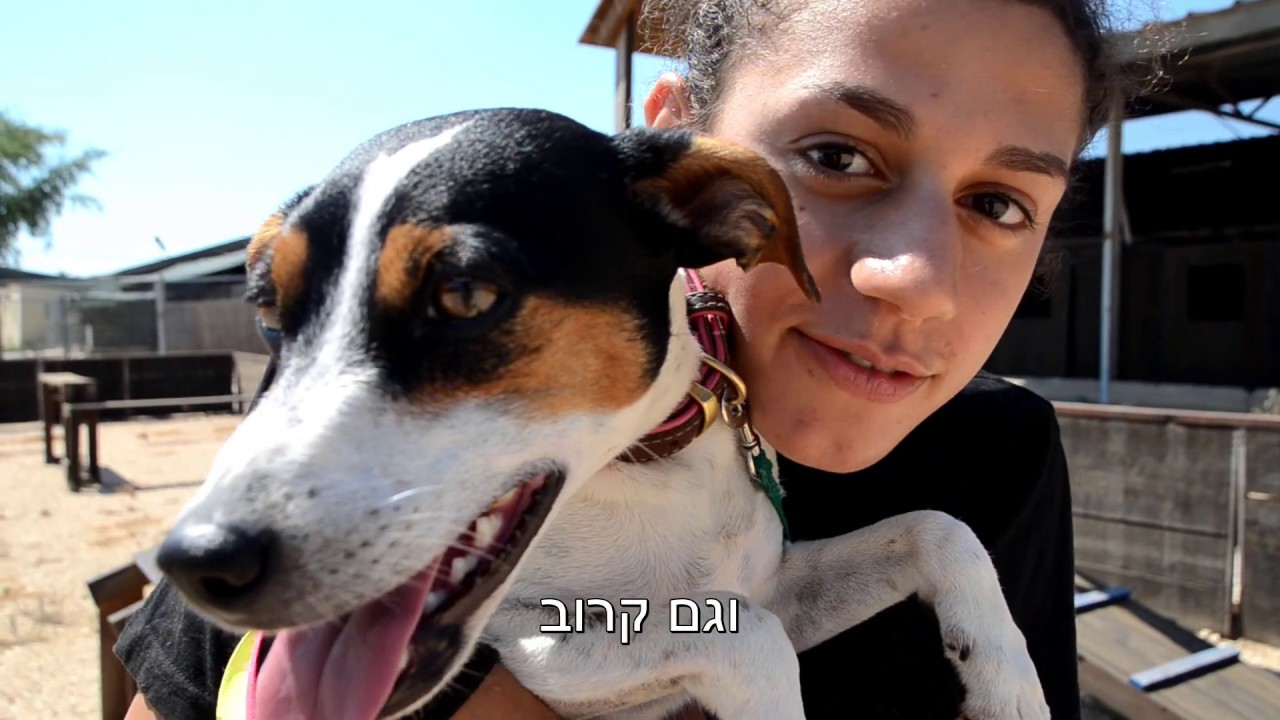 מרכז תלמים קומונה ט' , אלה סרטון פרידה so low