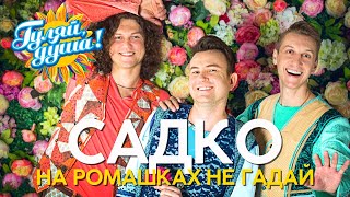 картинка: Группа САДко - На ромашках не гадай - Новые песни @gulyaydusha