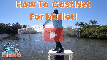 How To Cast Net Mullet EASY