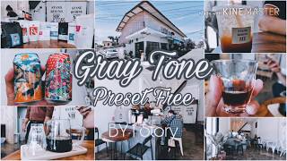 สอนแต่งรูปโทนสีเทา สวยๆ ด้วย Lightroom Mobile | Gray Tone | Preset Free By I Story screenshot 3