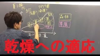 バイオーム 熱帯多雨林 亜熱帯多雨林 照葉樹林 夏緑樹林 針葉樹林 高校 生物基礎 Biome Youtube バイオーム 熱帯多雨林 亜熱帯多雨林 照葉樹林 夏緑樹林 針葉樹林 高校 生物基礎 Biome Youtube