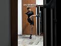 Bodyweight Leg Home Workout | Leg Day #fitness #legday #shorts