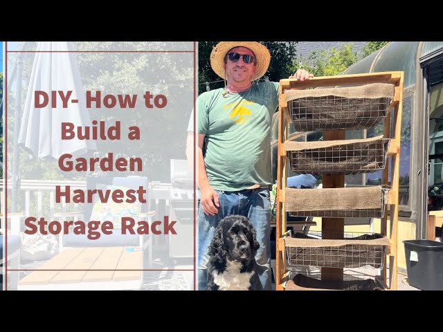 How To Ripen Or Dry Garden Vegetables With A DIY 2x4 Harvest Rack!