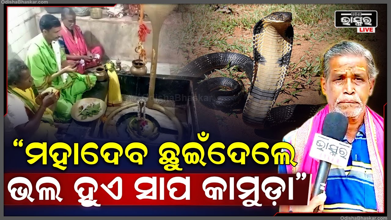 ମହାତଳାରେ ବିଜେ ମାତଳେଶ୍ଵର ମହାଦେବ, ଘୋର ଅରଣ୍ୟ ଭିତରେ ଥିଲା 1000 ବର୍ଷର ମନ୍ଦିର
