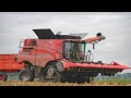  le monstre dans les mas 2022  case axial flow 7250  chenille  eta theault