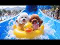 😢리틀포우: 늦은 퇴근에 울던 형제... 워터파크에서 되찾은 가족의 행복 🐶💖🌊🐾✨