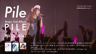 Pile 3/16発売セカンドアルバム「PILE」トレーラー映像